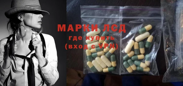 прущие грибы Болхов