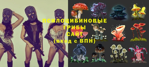 амф Абдулино