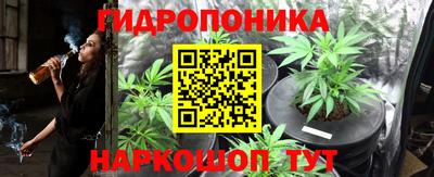 прущие крисы Партизанск