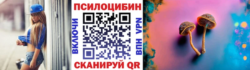 Псилоцибиновые грибы Cubensis  дарнет шоп  Россошь 