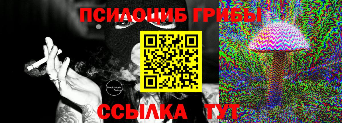 Россошь  Псилоцибиновые грибы Psilocybe  Вход с VPN 