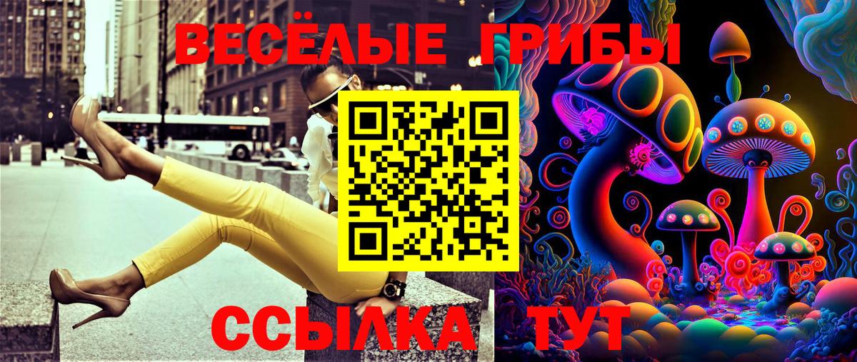 Псилоцибиновые грибы Psilocybe Россошь