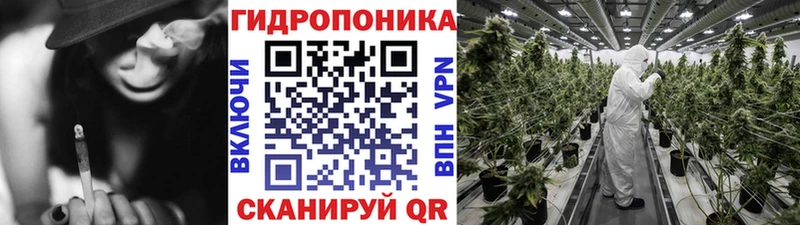 Шишки марихуана SATIVA & INDICA  купить  сайты  Россошь 